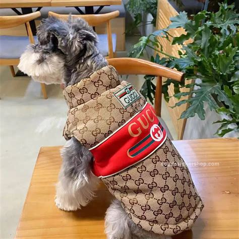 gucci dog coat|designer dog coats gucci.